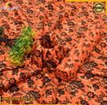 Print Lawn 2pc -19